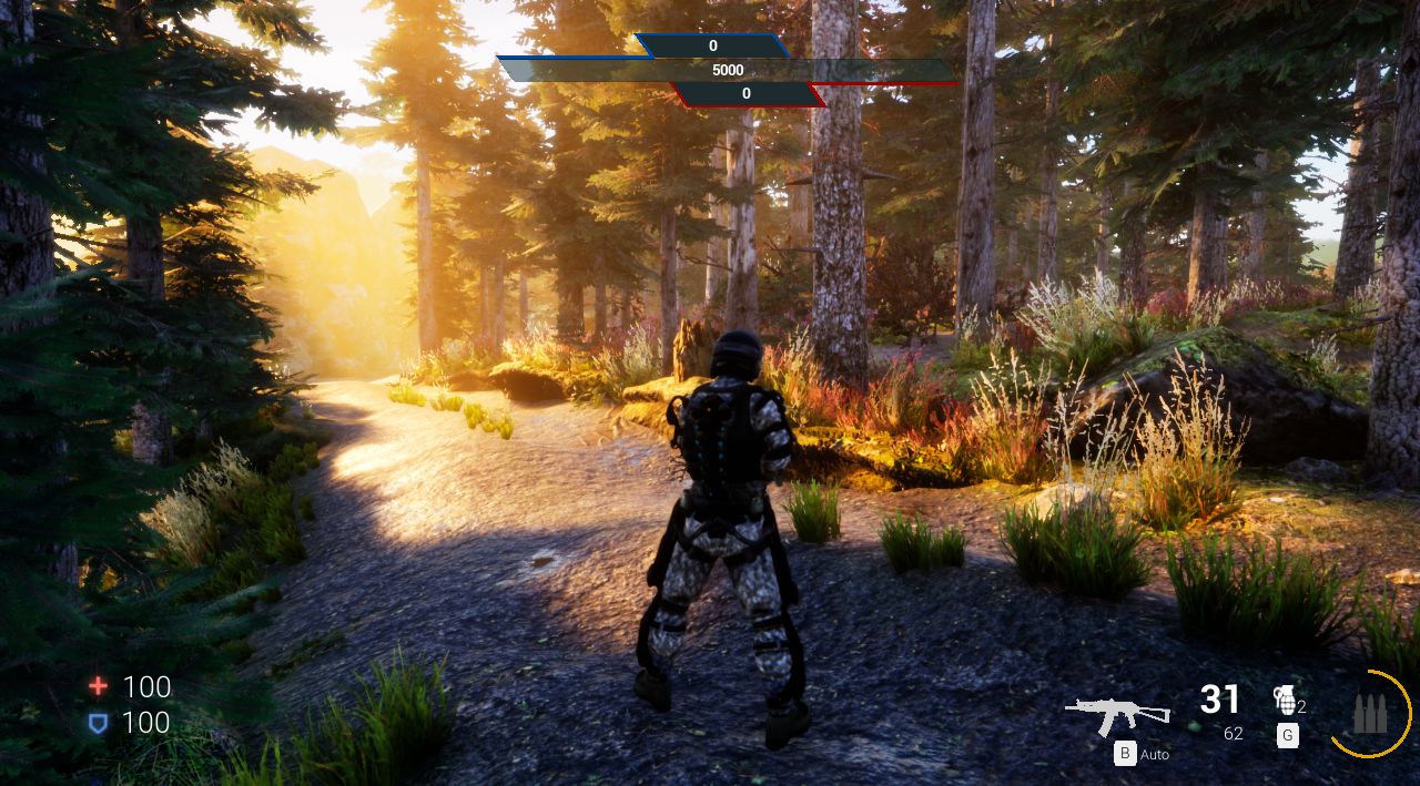Forest